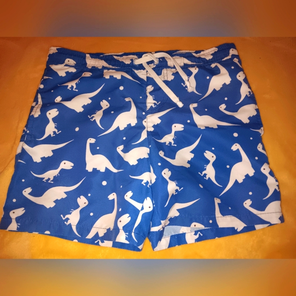 Boys size small,  blue dinosaur swim trunks